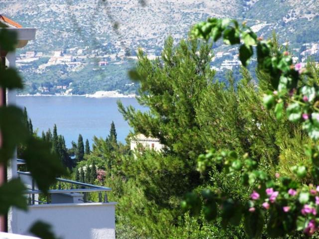 Villa Kipre 2 Cavtat Exteriör bild